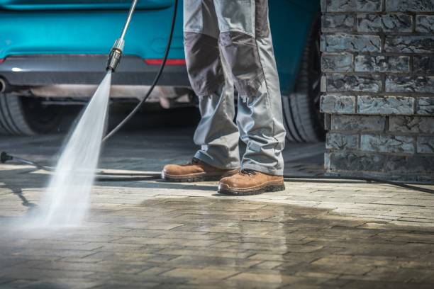 Best Driveway Pressure Washing  in Cortland, OH