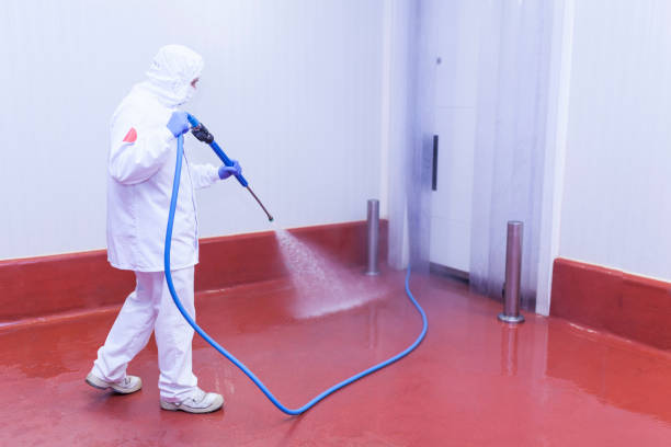 Best Spring Cleaning  in Cortland, OH
