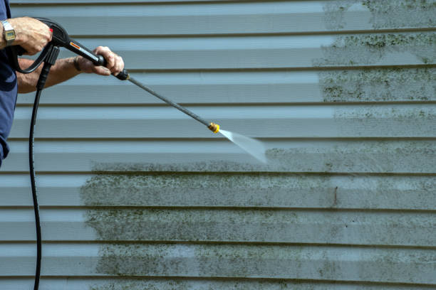 Best Gutter Cleaning  in Cortland, OH